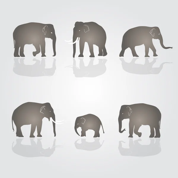 Zestaw eps10 słonie proste wektor — Wektor stockowy