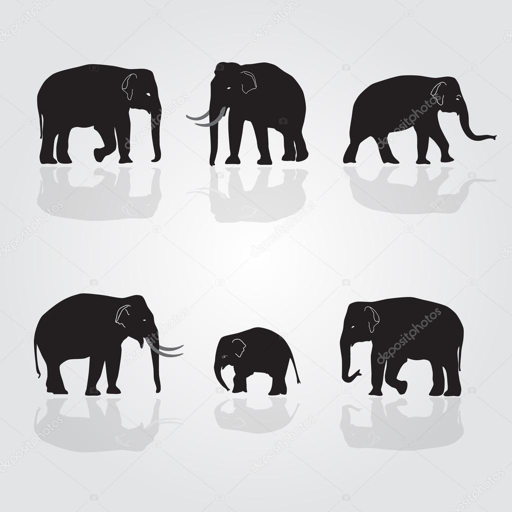 set of vector shadow elephants eps10