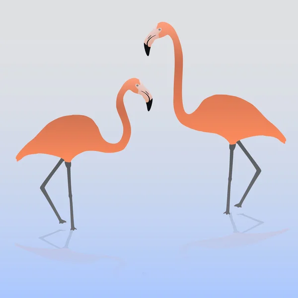 Два фламинго на воде eps10 — стоковый вектор