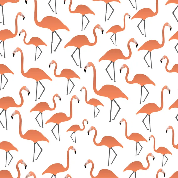 Flamingos seamless pattern eps10 — Stock Vector