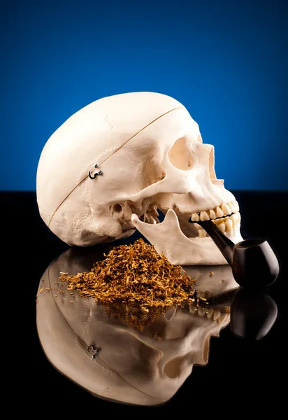 insan kafatası tütün endüstrisi