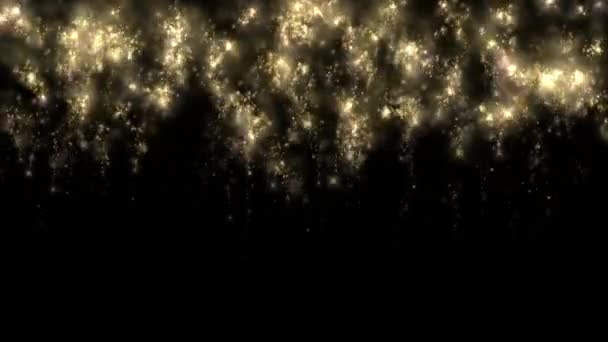 Brillantes Fuegos Artificiales Celebración Cielo Nocturno — Vídeo de stock