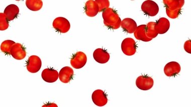 Domatesler beyaz arkaplana düşüyor