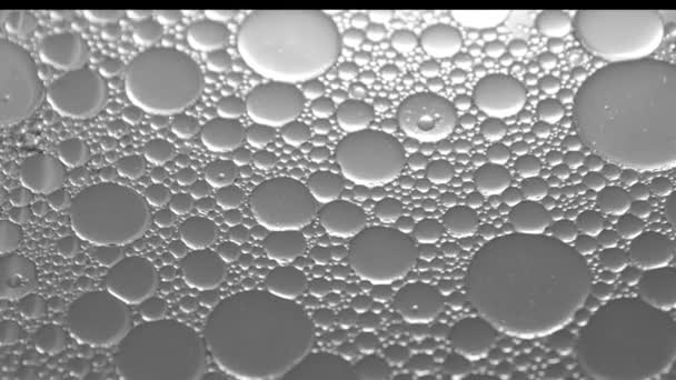 Macro Oil Dans Liquide Gouttes Huile Déplaçant Dans Liquide — Video