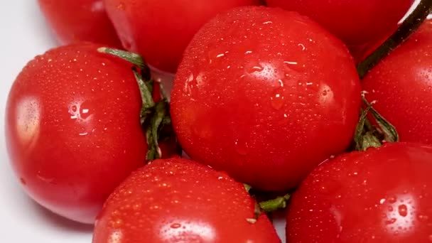 Tomaten Mit Sich Drehenden Wassertropfen — Stockvideo