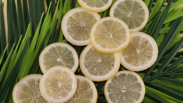 Fatias Limão Frescas Folhas Verdes — Vídeo de Stock