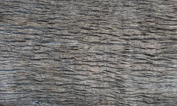 Ağaç gövdesine yakın çekim, ahşap arka plan