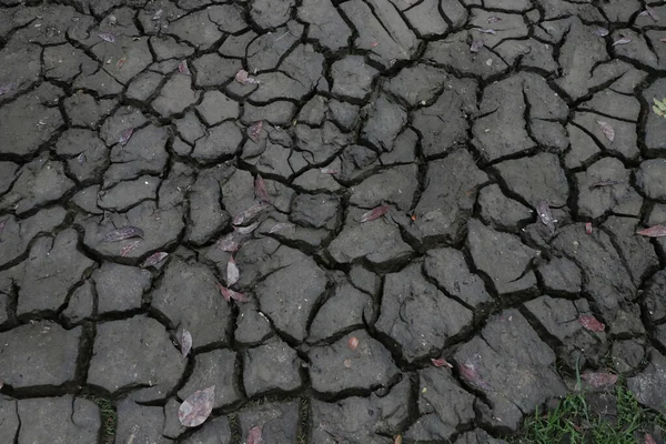 The soil is dry, the water dries up with the heat