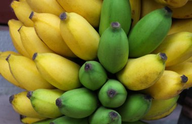 Seçici odaklı olgun muzlar sarı ve yeşildir. İki tonluk ve yemeye hazır vitaminler.