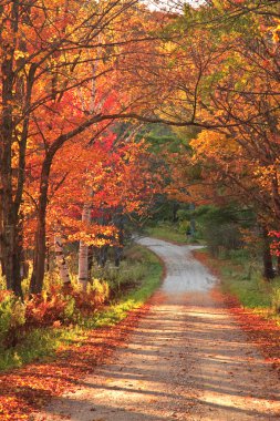 Vermont kırsal yol boyunca sonbahar