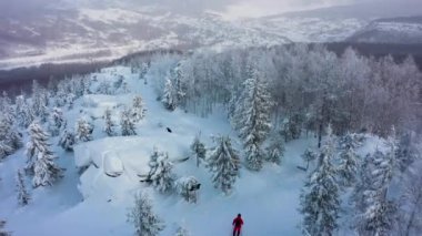 Kayak merkezindeki ormanda tepeye doğru giden snowboardcuların en iyi görüntüsü.
