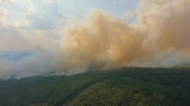 Yanan orman üzerinde büyük duman bulutları, İHA 'nın hava manzarası