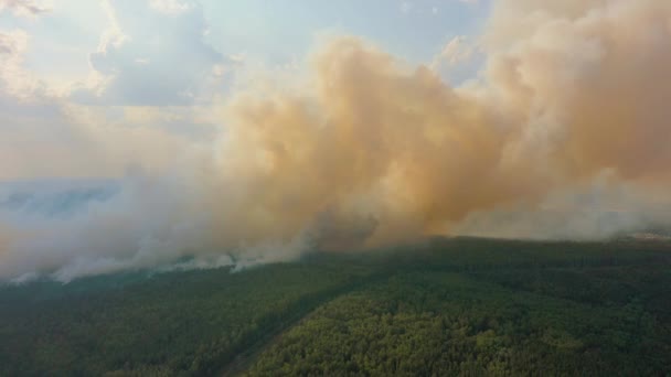 Великі хмари диму над палаючим лісом, вид з повітря безпілотника — стокове відео