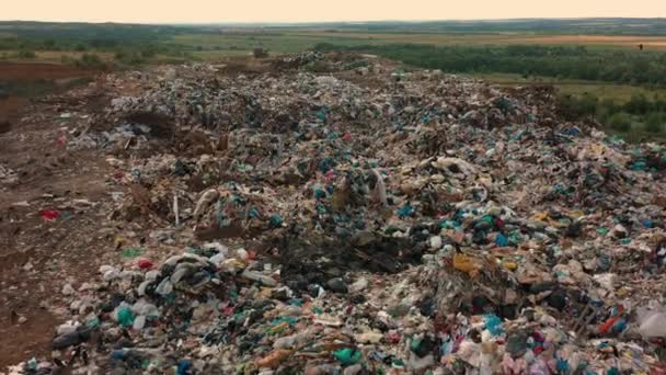 在城市垃圾场或垃圾填埋场上空飞行的鸟类，家庭产生的塑料废物 — 图库视频影像