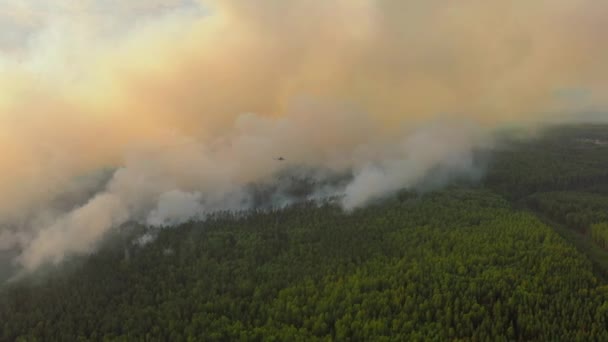 Śmigłowiec gaśniczy zrzucający wodę na pożar lasu — Wideo stockowe