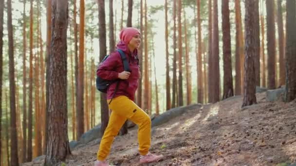 Mujer con mochila camina en el bosque de pinos, mira a su alrededor, admirando la naturaleza — Vídeos de Stock