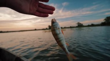 Oltaya takılmış oltaya takılmış balık yakaladım.