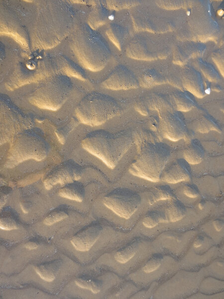 Сердце-это-в-центре-всего-всего-является ядром жизни, и может показать вашу любовь в этот день Святого Валентина
