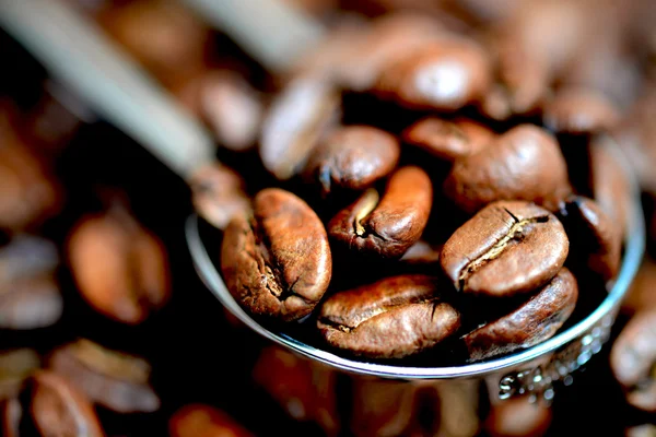 kahve çekirdekleri bir metal kaşık ölçme