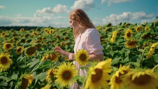 Gadis pirang kaukasia dengan rambut keriting berjalan di ladang bunga matahari tersenyum — Stok Video