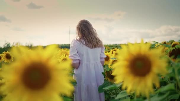 곱슬머리의 금발 소녀가 해바라기밭을 걷고 있습니다 — 비디오