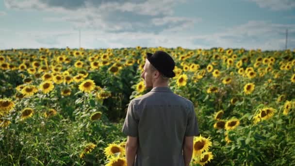 화창 한 날 해바라기 밭에서 흑색 모자를 쓰고 있는 젊은 코카서스 청년 — 비디오