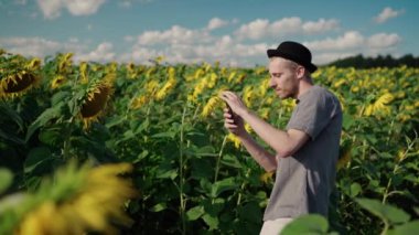 Ayçiçeği tarlasında piercingli genç adam telefon kamerasına çiçek atıyor.
