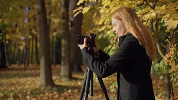 Czerwona kobieta fotograf robi zdjęcia krajobrazu w jesiennym parku słonecznym — Wideo stockowe