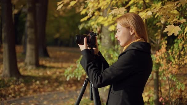 Uśmiechnięta kobieta fotograf robi zdjęcia krajobrazu w jesiennym parku słonecznym — Wideo stockowe