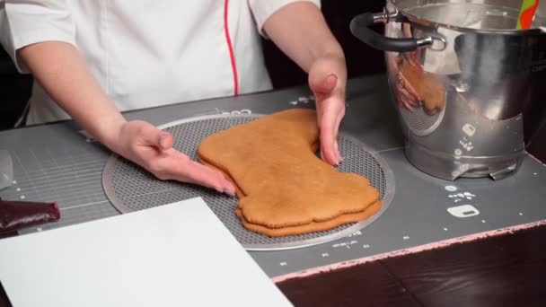 Pastelero bloguero conduce clase magistral en línea en la fabricación de postres de Navidad — Vídeos de Stock