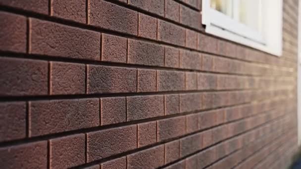 Pared de ladrillo con un primer plano de la ventana. Lado con paneles de fachada de plástico — Vídeos de Stock