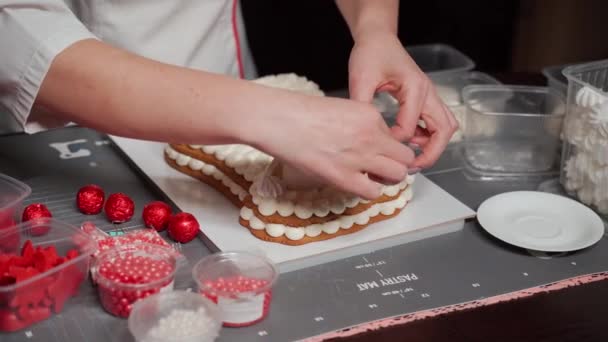 Idea of decorating Christmas cake. Step-by-step recipe for honey with cream — Stockvideo