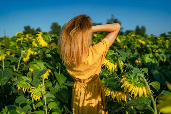 Red-haired woman in yellow dress in sunflower field with her back to camera Stock Photo