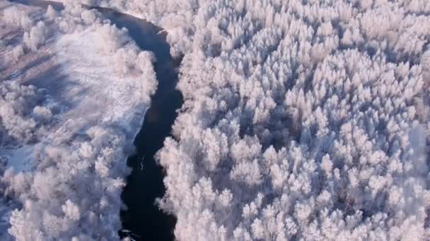 Snow-covered forest and river aerial video shooting — Vídeo de Stock
