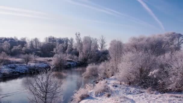 White trees and evaporating river view from a quadcopter — Stockvideo