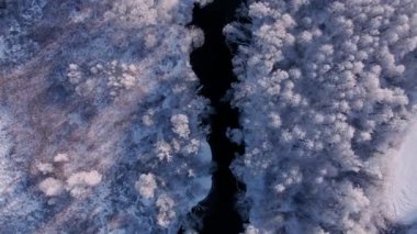 Karlı orman, kışın kıvrımlı nehir. Kışın doğanın havadan görünüşü