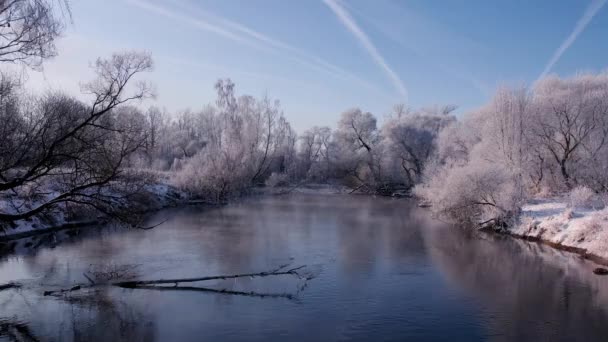 Aerial video winter river. Trees in snow grow ashore, fallen into the river — Stockvideo