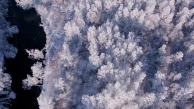 Orman kış manzarasının hava görüntüsü. Karla kaplı ağaçlar, yol, dar nehir