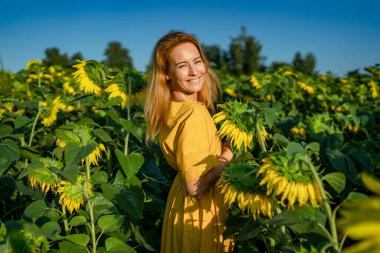 Sarı elbiseli güzel bir kadın ayçiçeği tarlasında kameraya bakıyor.