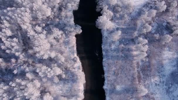 Wit bos, golvende rivier in de winter. Luchtfoto van de natuur in de winter — Stockvideo