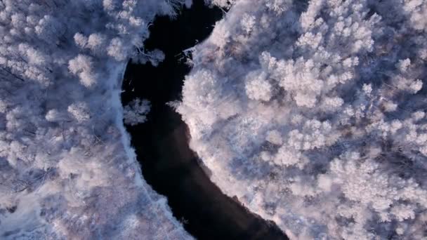 Зимовий повітряний пейзаж. темна вузька річка, білі засніжені дерева на березі — стокове відео