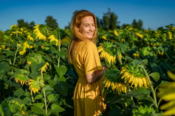 Red-haired woman in yellow dress winked into camera, in sunflower field Stock Image