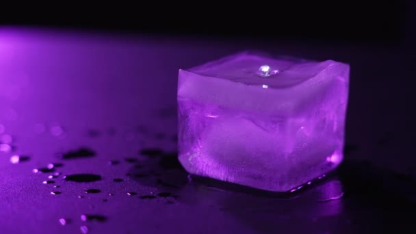 Primer plano de un cubo de hielo derretido sobre fondo oscuro con iluminación púrpura — Vídeos de Stock