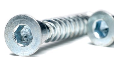 iki ağaç vidaları makro izole bir beyaz zemin üzerine