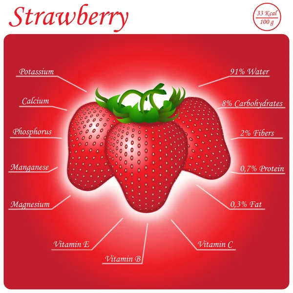 Vitamins and minerals of garden strawberry — Stock Vector © kulyk