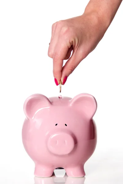 Feed the piggy bank — Stock Photo, Image