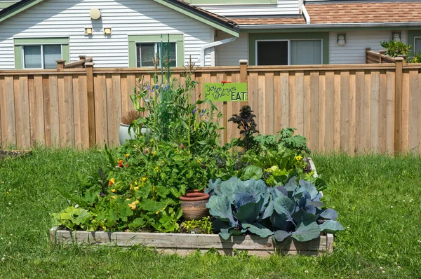 Jardinería comunitaria — Foto de Stock