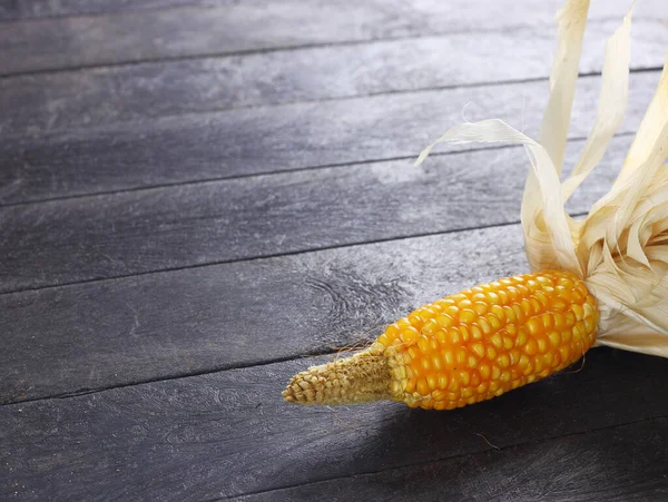 Koncepcja Ekologiczna Piękna Dojrzała Żółta Kukurydza Liściem Sadzenia Karmą Dla — Zdjęcie stockowe