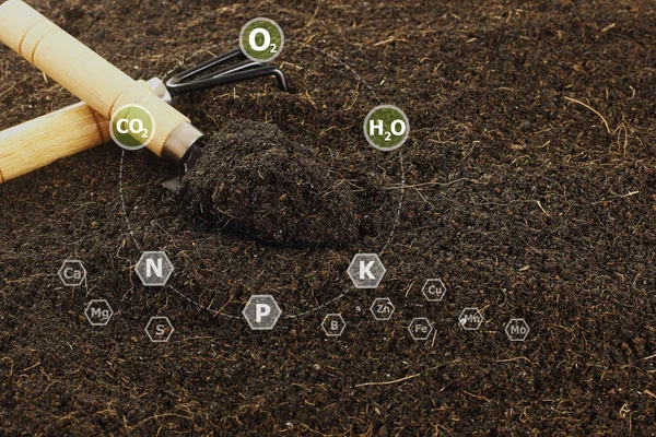 Close Fertile Loamy Soil Plantingon Spoon Digital Nutrients Icon Which Images De Stock Libres De Droits