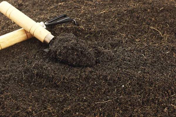 Close Fertile Loamy Soil Planting Spoon Copy Space Plant Nutrients - Stok İmaj